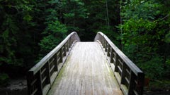 7 Paths to Work Zen